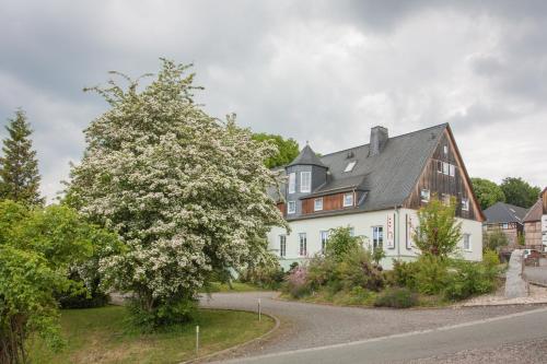 Фотография гостиницы Landhotel Gutshof