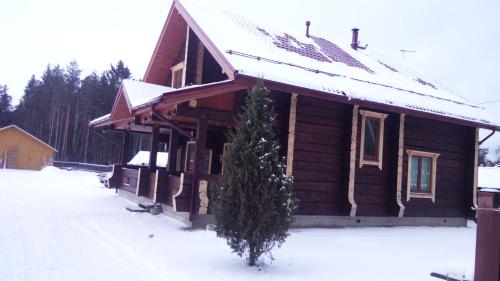 Фотография гостевого дома Усадьба Мороза