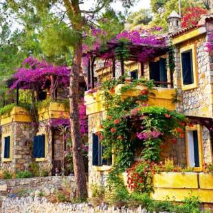 Фотографии гостиницы 
            Symbola Oludeniz Beach Hotel