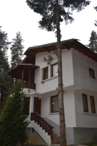 Фотография гостевого дома Вила Пенчеви, кк. Цигов чарк