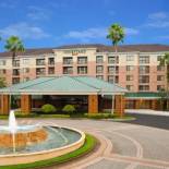 Фотография гостиницы Courtyard by Marriott Orlando Lake Buena Vista in the Marriott Village