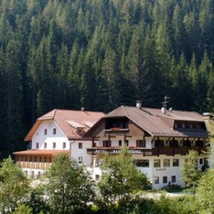Фотография гостиницы Hotel Bad Bergfall