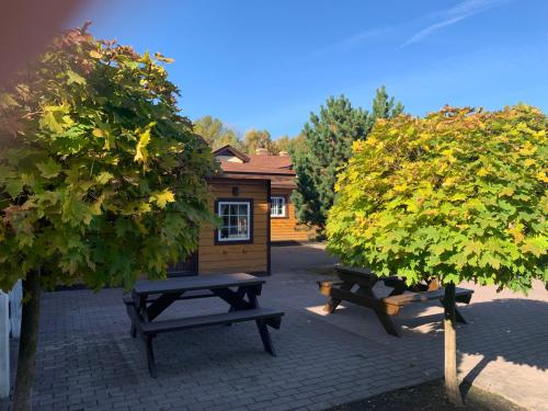 Фотография гостиницы Парк-отель ИСТОРИЯ