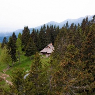 Фотография гостевого дома Chalet Pinja - I FEEL ALPS