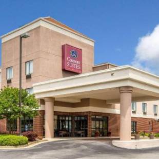 Фотографии гостиницы
Comfort Suites Oxford I-20 exit 188