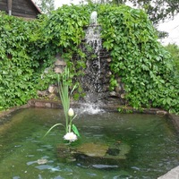 Фотография гостиницы Водопад