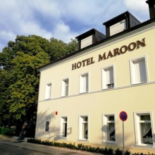 Фотография гостиницы Hotel Maroon