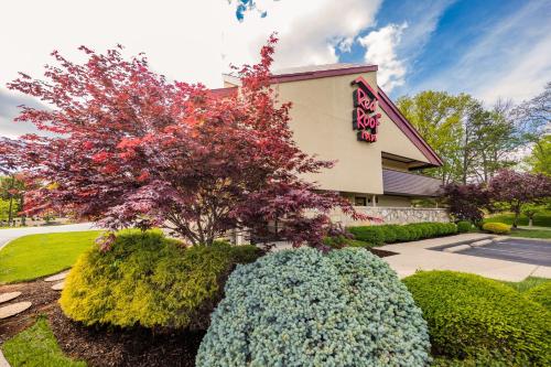 Фотографии мини отеля 
            Red Roof Inn Cincinnati Northeast - Blue Ash