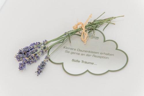 Фотография гостиницы Hotel Concorde