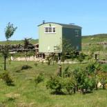 Фотография базы отдыха The Buteland Stop Rosie Shepherds Hut