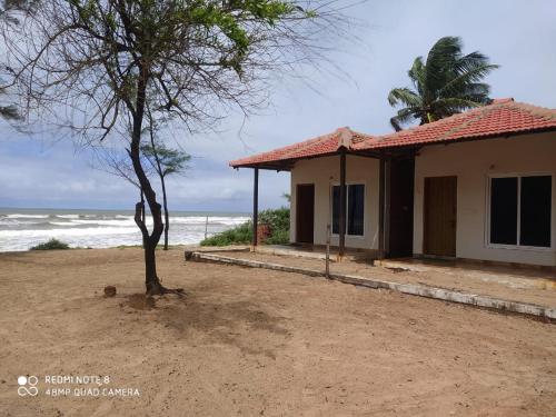 Фотографии хостела 
            Trippr Gokarna - Beach Hostel