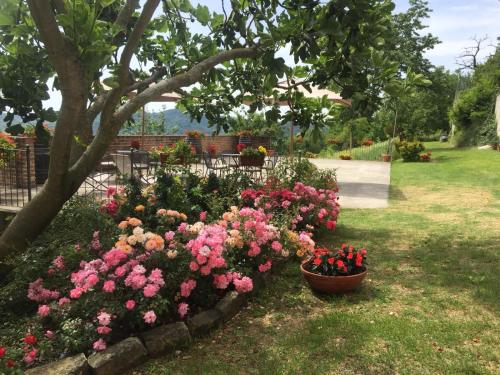 Фотография мини отеля La Cantinetta Resort