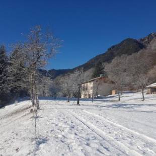 Фотографии гостевого дома 
            Villa Iagra Ledro