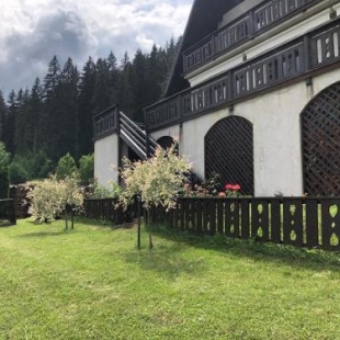 Фотография гостевого дома Bucovina Lodge Pension