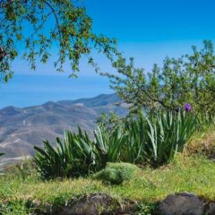 Фотографии гостевого дома 
            Cortijo Los Maximos