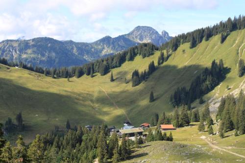 Фотографии гостиницы 
            Berggasthof Obere Firstalm