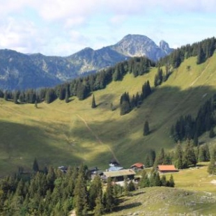 Фотография гостиницы Berggasthof Obere Firstalm