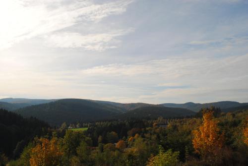 Фотографии мини отеля 
            Landgasthof Gruss