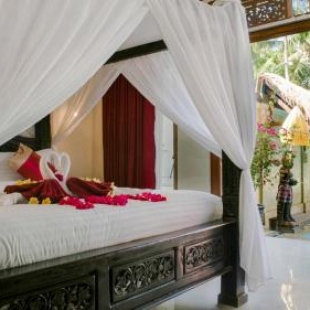 Фотография гостиницы Mimba Bali Hotel