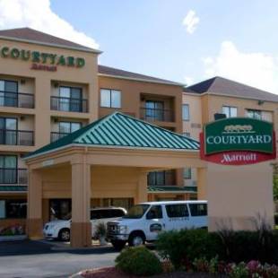 Фотографии гостиницы 
            Courtyard by Marriott Nashville at Opryland