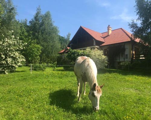 Фотография мини отеля Modryna Ranczo