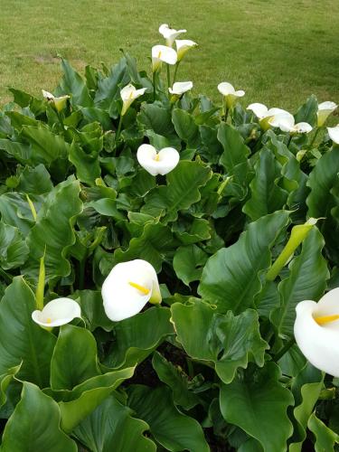 Фотография гостевого дома Le Gîte d'en Bas