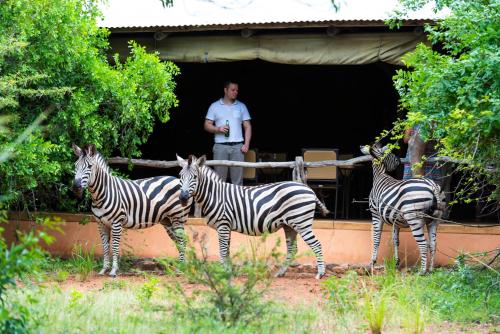 Фотография гостевого дома Leopard Walk Lodge