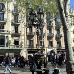 Фотографии гостевого дома 
            Hostal Capitol Ramblas