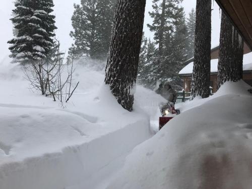 Фотография гостевого дома Mountainback #45, Den