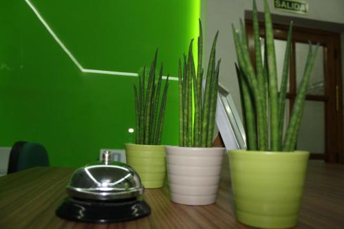 Фотография гостевого дома Hostal La Estación