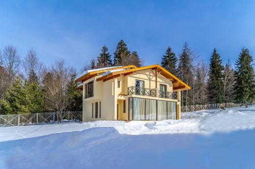 Фотография Коттеджа Villa by Sunexpress Bakuriani