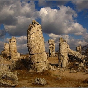 Фотография достопримечательности Дружковский каменный лес