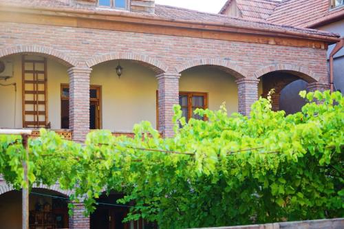 Фотография гостиницы Hotel Magdalena