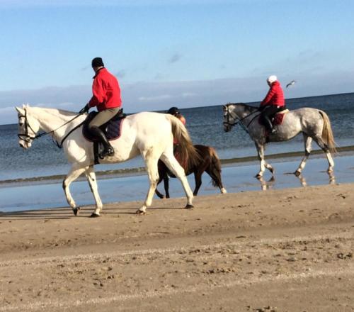 Фотография гостевого дома Ferienhaus Am Küstenwald