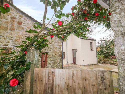 Фотография гостевого дома Camellia Cottage