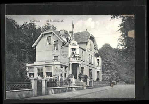 Фотография гостиницы Hotel Villa im Steinbusch