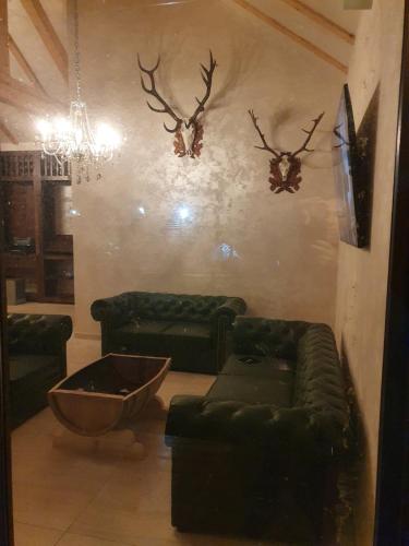 Фотография мини отеля Imperator Kvintil apartmani & SPA