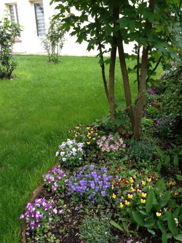 Фотография гостевого дома Les Gites Douillets de Sancerre