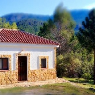 Фотография гостевого дома Casa Rural en Aldea Cueva Ahumada