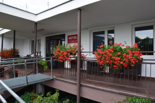 Фотография гостиницы Hotel Poświętne