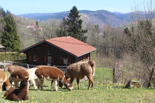 Фотографии гостевого дома 
            Chalet Les Bouleaux, le couchetat