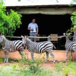 Фотография гостевого дома Leopard Walk Lodge