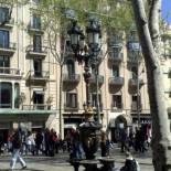 Фотография гостевого дома Hostal Capitol Ramblas