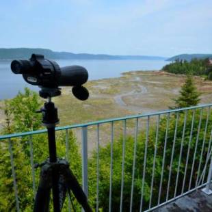 Фотографии мини отеля 
            Auberge de la Rivière Saguenay