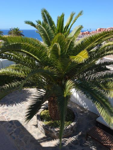 Фотография гостевого дома Casa La Palmera