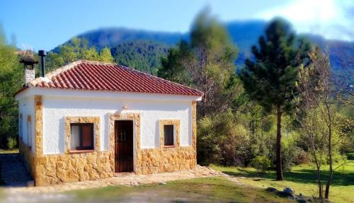 Фотографии гостевого дома 
            Casa Rural en Aldea Cueva Ahumada