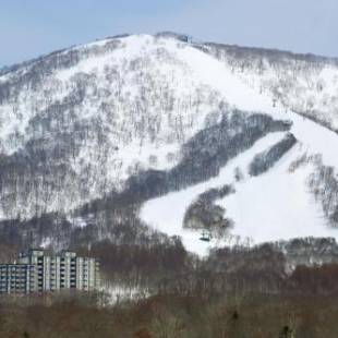 Фотографии гостиницы 
            One Niseko Resort Towers