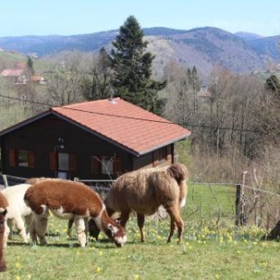 Фотография гостевого дома Chalet Les Bouleaux, le couchetat