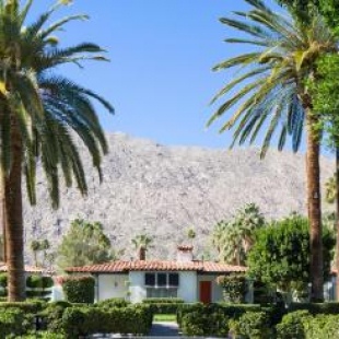 Фотография гостиницы Avalon Hotel and Bungalows Palm Springs