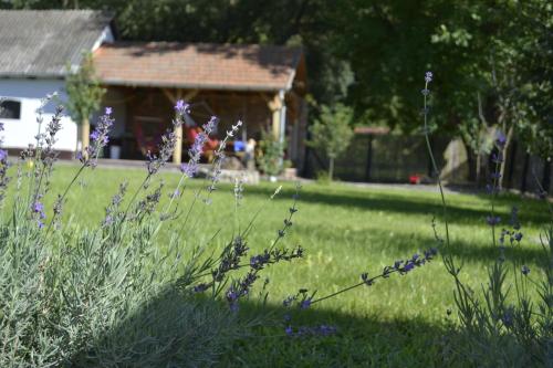 Фотография гостевого дома Elizabeth Cottage Benczúrfalva